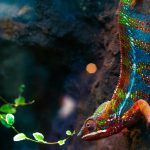 Accueil sergey omelchenko keerp7uicjk unsplash